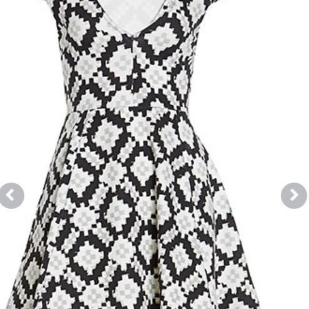 MINKPINK Abstract Skater Dress